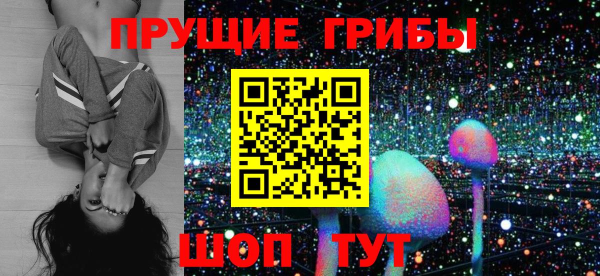 Псилоцибиновые грибы прущие грибы  Вход с VPN  Псилоцибиновые грибы мухоморы  Елец 