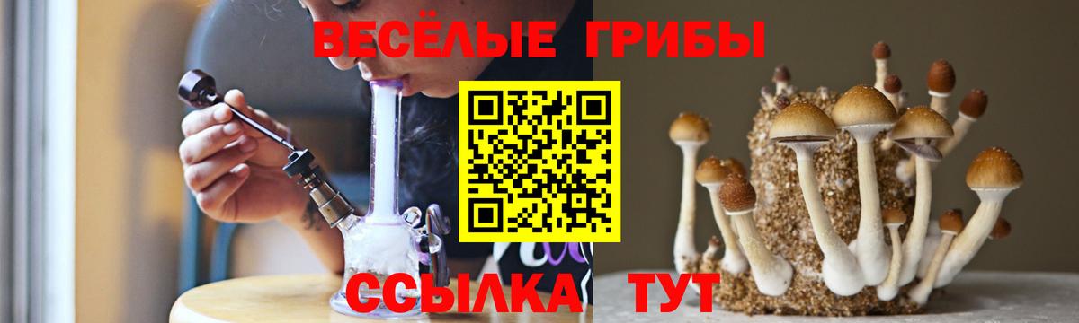 Псилоцибиновые грибы MAGIC MUSHROOMS Елец